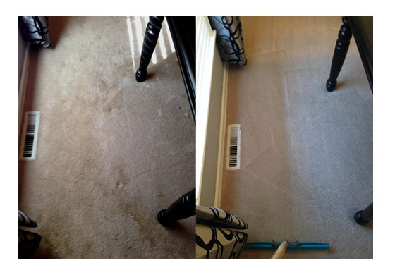carpet-urine-stain-before-after